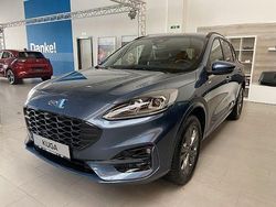 Blau Gebraucht 2024 Ford Kuga ST-Line X SUV | 37.989 € (Etwas zu teuer)