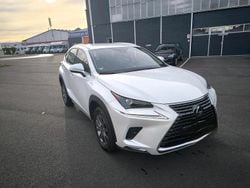 Weiß Gebraucht 2021 Lexus NX300h SUV | 33.499 € (Etwas zu teuer)