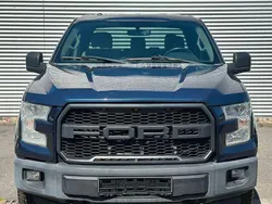 Blau Gebraucht 2015 Ford F-150 Abholung | 19.000 €
