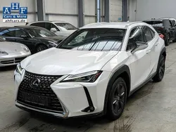 Weiß Gebraucht 2019 Lexus UX 200 Launch Edition SUV | 19.990 €