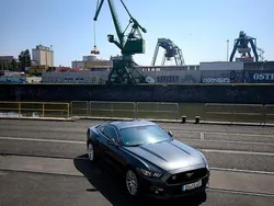 Grau Gebraucht 2017 Ford Mustang Coupé | 30.500 € (Teuer)