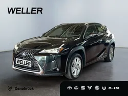 Schwarz Gebraucht 2021 Lexus UX 250h Business Edition SUV | 22.895 € (Guter Preis)