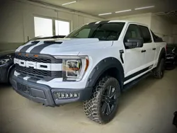 Weiß Gebraucht 2023 Ford F-150 Raptor Abholung | 47.991 €