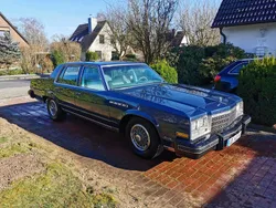 Blau Gebraucht 1979 Buick Electra Limousine | 12.500 €