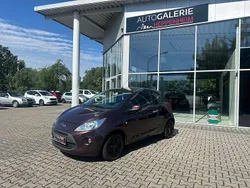 Violet Gebraucht 2015 Ford Ka Titanium Kleinwagen | 4.900 € (Fairer Preis)