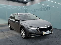 Grau Gebraucht 2023 Skoda Octavia Kombi | 29.800 € (Fairer Preis)