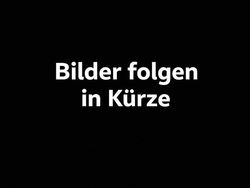 Schwarz Gebraucht 2009 VW Golf VI Kleinwagen | 3.800 € (Guter Preis)