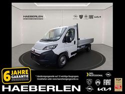 Cassablanca weiß Neu 2025 Opel Movano Van | 28.125 € (Superpreis)