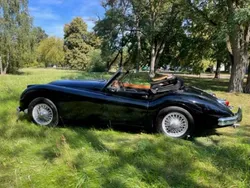 Schwarz Gebraucht 1957 Jaguar XK Cabrio | 88.000 €