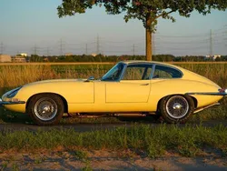 Gelb Gebraucht 1964 Jaguar E-Type Coupé | 77.500 €