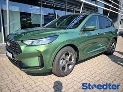 Grün Gebraucht 2024 Ford Kuga ST-Line SUV | 37.990 € (Etwas zu teuer)