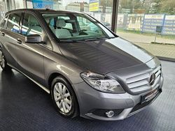 Grau Gebraucht 2014 Mercedes B180 Van / Kleinbus | 12.900 € (Teuer)
