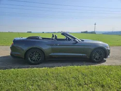 Grau Gebraucht 2016 Ford Mustang Cabrio | 19.800 € (Etwas zu teuer)