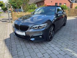 Grau Gebraucht 2019 BMW 220 M Sport Cabrio | 24.900 € (Fairer Preis)
