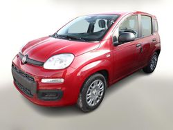 Passione rot Neu 2025 Fiat Panda | 14.652 € (Fairer Preis)