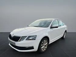 Violet Gebraucht 2018 Skoda Octavia Limousine | 7.000 € (Etwas zu teuer)