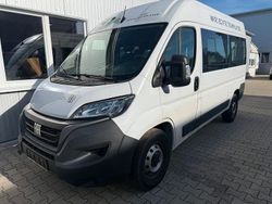 Weiß Gebraucht 2022 Fiat Ducato Van | 22.977 € (Superpreis)