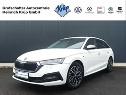 Weiß Gebraucht 2022 Skoda Octavia Clever Kombi | 18.450 € (Guter Preis)