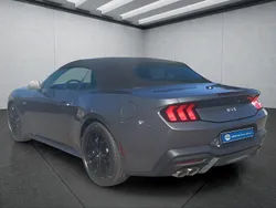 Grau Gebraucht 2025 Ford Mustang GT Cabrio | 65.299 € (Fairer Preis)
