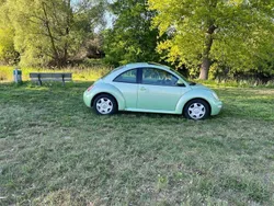 VW Beetle