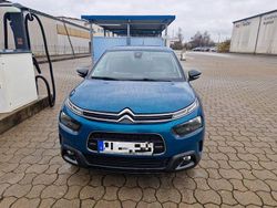Blau Gebraucht 2019 Citroën C4 Cactus Shine Kleinwagen | 13.490 € (Superpreis)