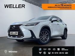 Weiss Gebraucht 2025 Lexus NX450h+ E-FOUR Executive Line SUV | 54.990 €
