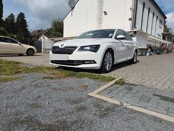 Weiß Gebraucht 2019 Skoda Octavia Kombi | 20.800 €