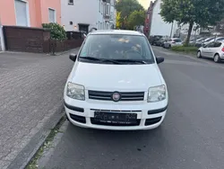 Weiß Gebraucht 2009 Fiat Panda Kleinwagen | 2.999 € (Fairer Preis)