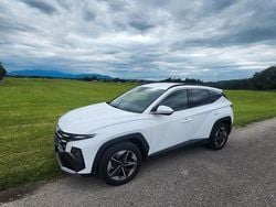 Weiß Gebraucht 2024 Hyundai Tucson Trend SUV | 28.500 € (Superpreis)