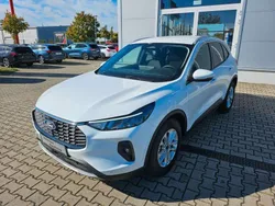 Frostweiß Gebraucht 2024 Ford Kuga Titanium SUV | 34.990 € (Teuer)