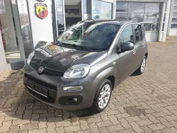 Colore esterno (vr446/c(grigi Gebraucht 2017 Fiat Panda Lounge Kleinwagen | 7.950 € (Fairer Preis)