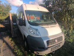 Weiß Gebraucht 2008 Fiat Ducato Van | 9.999 €