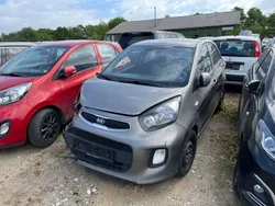 Gebraucht 2016 Kia Picanto Edition 7 Kleinwagen | 2.300 € (Superpreis)