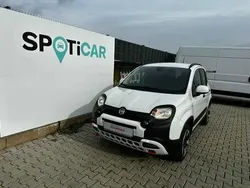 Weiß Gebraucht 2024 Fiat Panda Cross Cross Kleinwagen | 14.995 € (Fairer Preis)