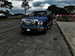 Blau Gebraucht 2009 Ford F-150 Abholung | 17.949 €