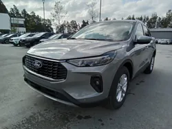 Solar silver metallic Neu 2024 Ford Kuga Titanium SUV | 31.579 € (Guter Preis)