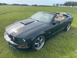 Schwarz Gebraucht 2005 Ford Mustang GT Cabrio | 13.990 € (Fairer Preis)