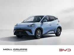 Grau Neu 2025 BYD Dolphin Active Kleinwagen | 21.290 € (Superpreis)