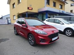 Rot Gebraucht 2022 Ford Kuga ST-Line X SUV | 29.990 € (Etwas zu teuer)