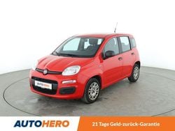 Rot Gebraucht 2019 Fiat Panda Easy Kleinwagen | 8.600 € (Fairer Preis)