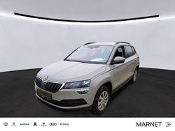 Grau Gebraucht 2020 Skoda Karoq Style SUV | 17.900 € (Guter Preis)