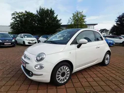 Gelato weiß Gebraucht 2023 Fiat 500 Dolcevita Kleinwagen | 16.390 € (Etwas zu teuer)