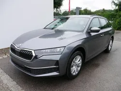 Grau Neu 2025 Skoda Octavia | 34.990 € (Fairer Preis)