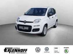 Weiß Gebraucht 2019 Fiat Panda Easy Kleinwagen | 8.480 € (Fairer Preis)