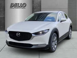 Weiss Neu 2025 Mazda CX-30 Center-Line SUV | 28.990 €
