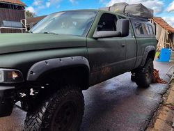 Grün Gebraucht 2001 Dodge Ram Abholung | 10.000 € (Teuer)