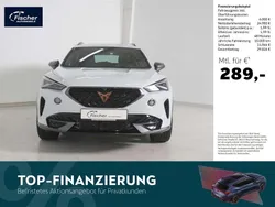 Weiss Gebraucht 2023 Cupra Formentor SUV | 30.980 € (Fairer Preis)