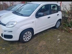 Weiß Gebraucht 2012 Fiat Panda Limousine | 4.900 € (Guter Preis)