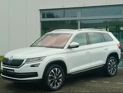 Weiß Gebraucht 2020 Skoda Kodiaq Drive SUV | 19.450 € (Etwas zu teuer)