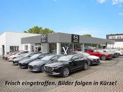 Braun Gebraucht 2015 Mazda CX-9 SUV | 15.290 € (Fairer Preis)